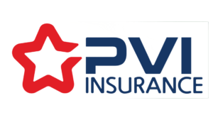 Ảnh logo PVI xóa nền